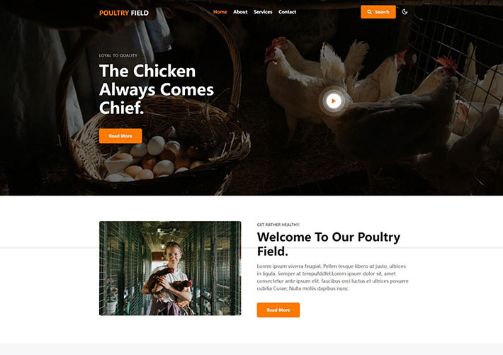 养鸡场家禽饲养宣传网站HTML网页模板