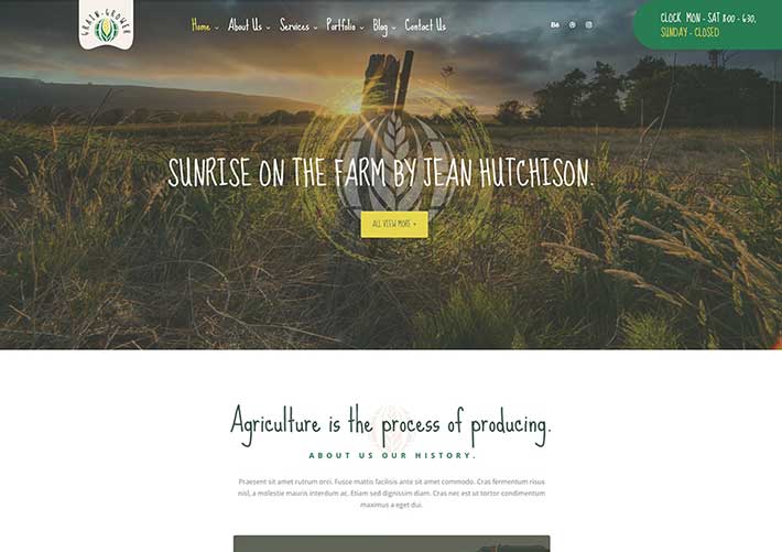 谷物农场有机食品网站HTML源码模板