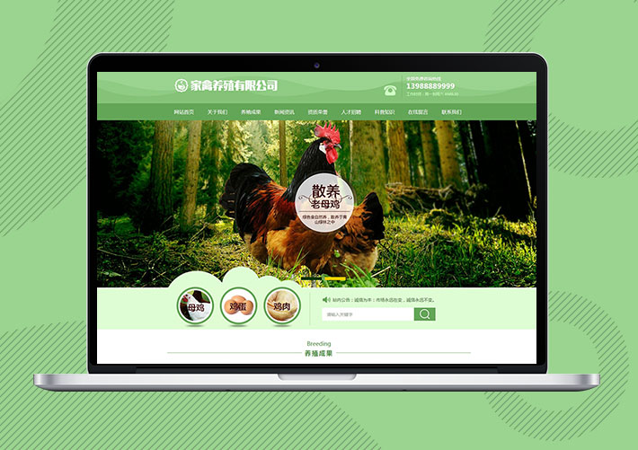 家禽母鸡养殖公司Eyoucms网站模板带手机端