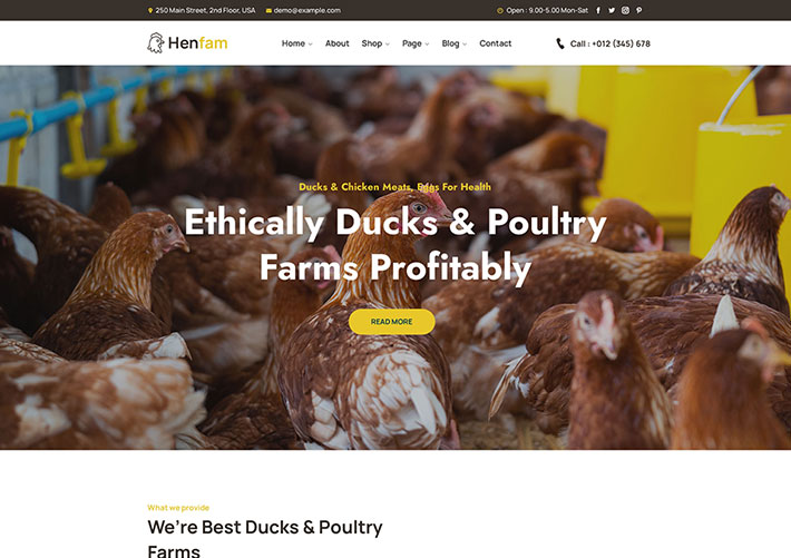 响应式HTML5生态农场家禽网站网页源码模板