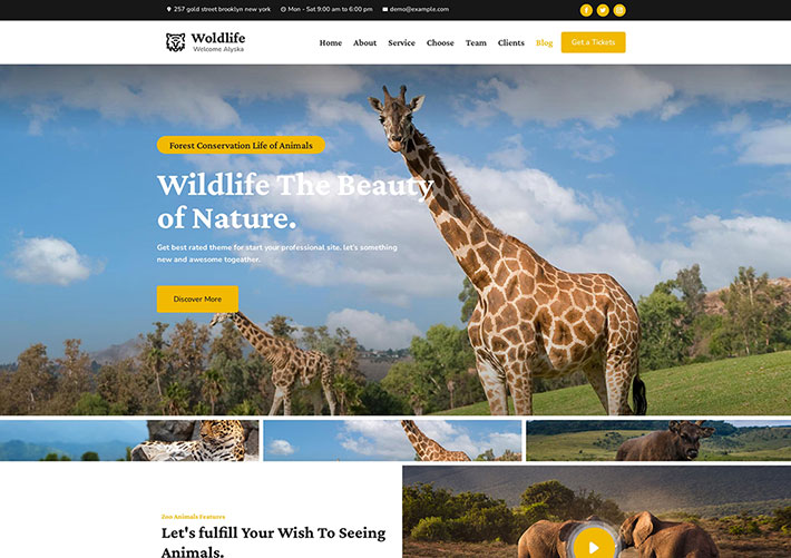 响应式野生动物保护宣传网站HTML网页源码模板下载