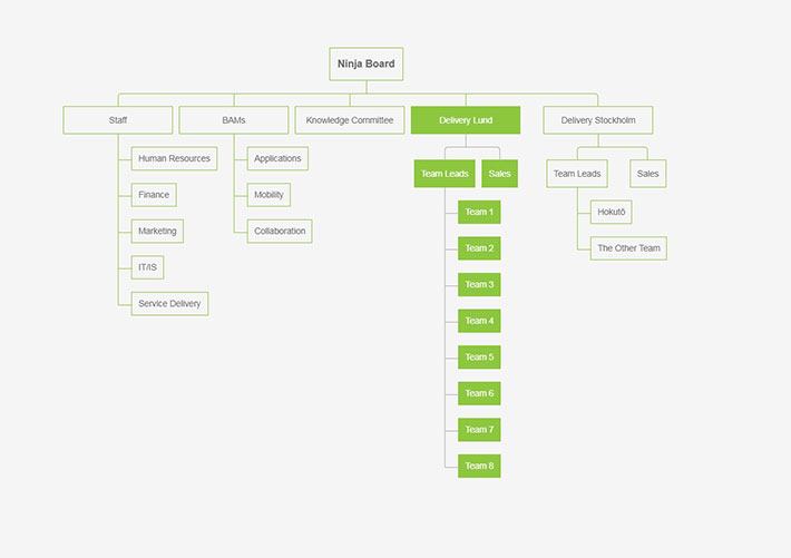 CSS3企业人员组织结构图样式代码素材模板