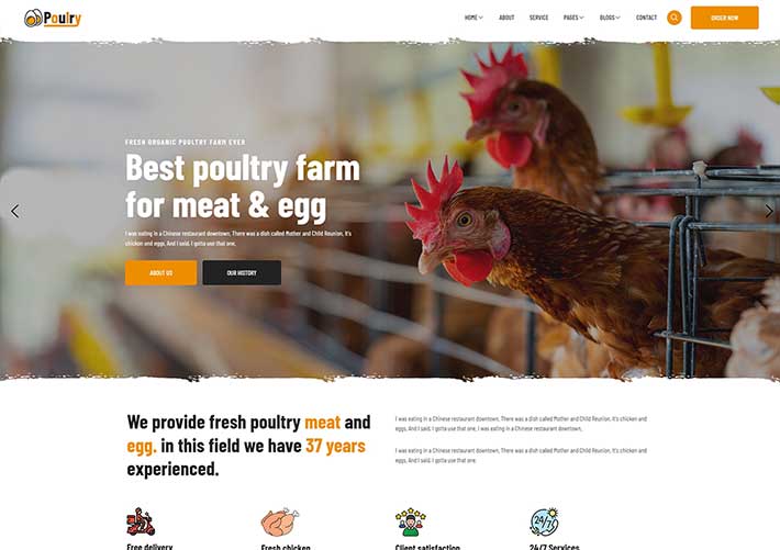 响应式家禽养殖场响应式宣传网站网页HTML模板